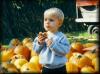 gal/1997ish_Old_Pictures/_thb_pumpkin.jpg
