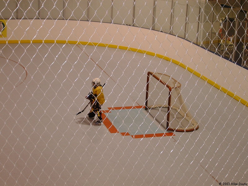 gal/2003-04-06_Hockey/DCAO0002.JPG