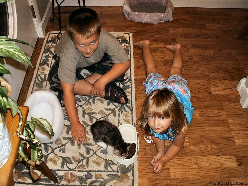 gal/2003-08-13_pets_and_stuff/DCAO0753.JPG