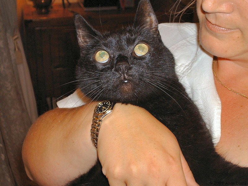 gal/2003-08-13_pets_and_stuff/DCAO0756.JPG