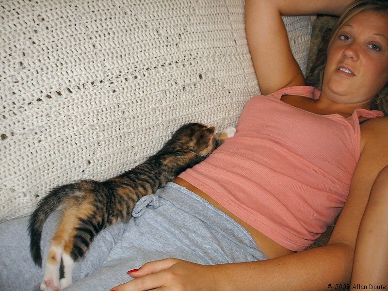 gal/2003-08-13_pets_and_stuff/DCAO0803.JPG