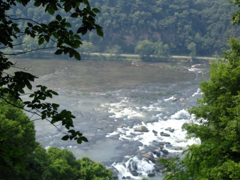 gal/2005-06-23_West_Virginia/IMG_0974.jpg