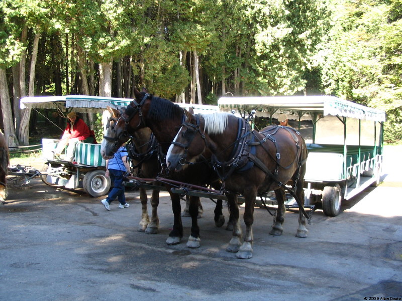 gal/2005-10-01_Mackinac/IMG_1131.jpg