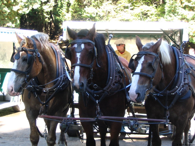 gal/2005-10-01_Mackinac/IMG_1132.jpg