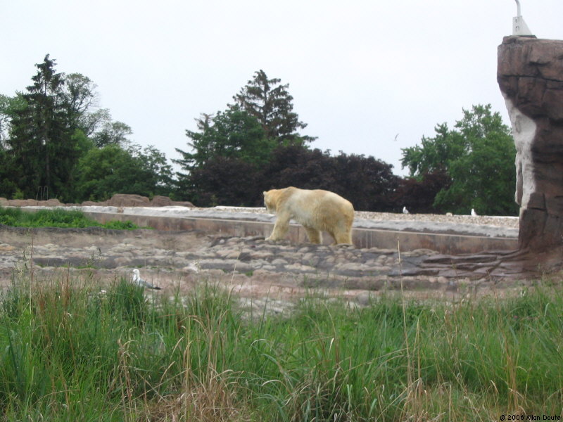 gal/2006-06-02_Zoo/IMG_1552.jpg