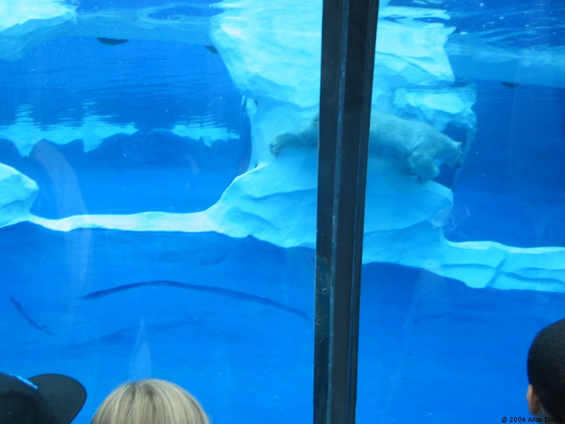 gal/2006-06-02_Zoo/IMG_1573.jpg