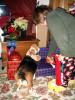 gal/2006-12-25_Christmas/_thb_IMG_2405.jpg