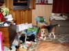 gal/2006-12-25_Christmas/_thb_IMG_2463.jpg