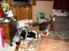 gal/2006-12-25_Christmas/_thb_IMG_2464.jpg