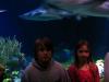 gal/2008-03-25_Chicago_-_Aqauarium/_thb_IMG_0436.JPG