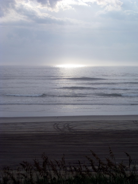 gal/2009-08_Outer_Banks/IMG_2269.JPG