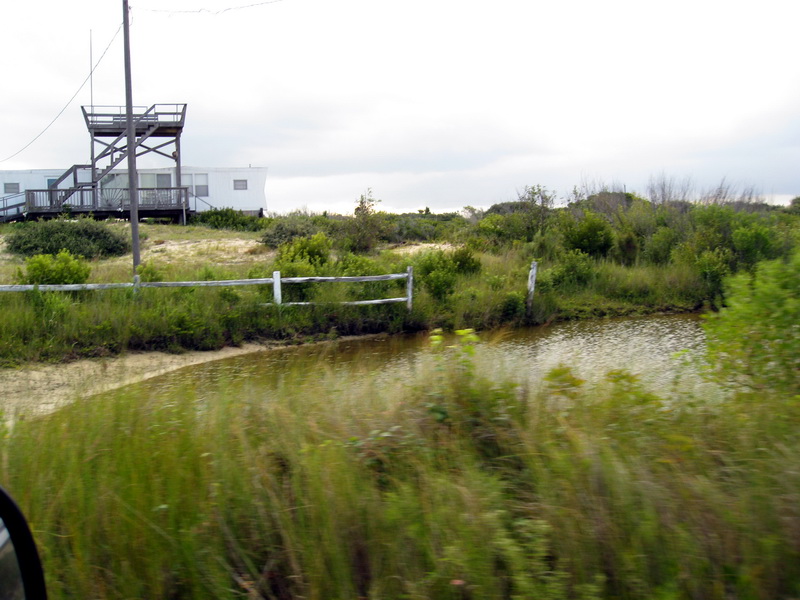 gal/2009-08_Outer_Banks/IMG_2330.JPG