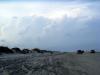 gal/2009-08_Outer_Banks/_thb_IMG_2293.JPG