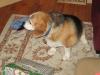 gal/2011-12-25_Christmas__and_eve_/_thb_IMG_0116.JPG